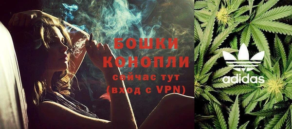 шишки Алзамай
