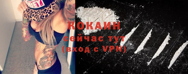 сатива Абаза